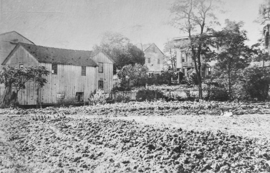 Farmhouse grounds